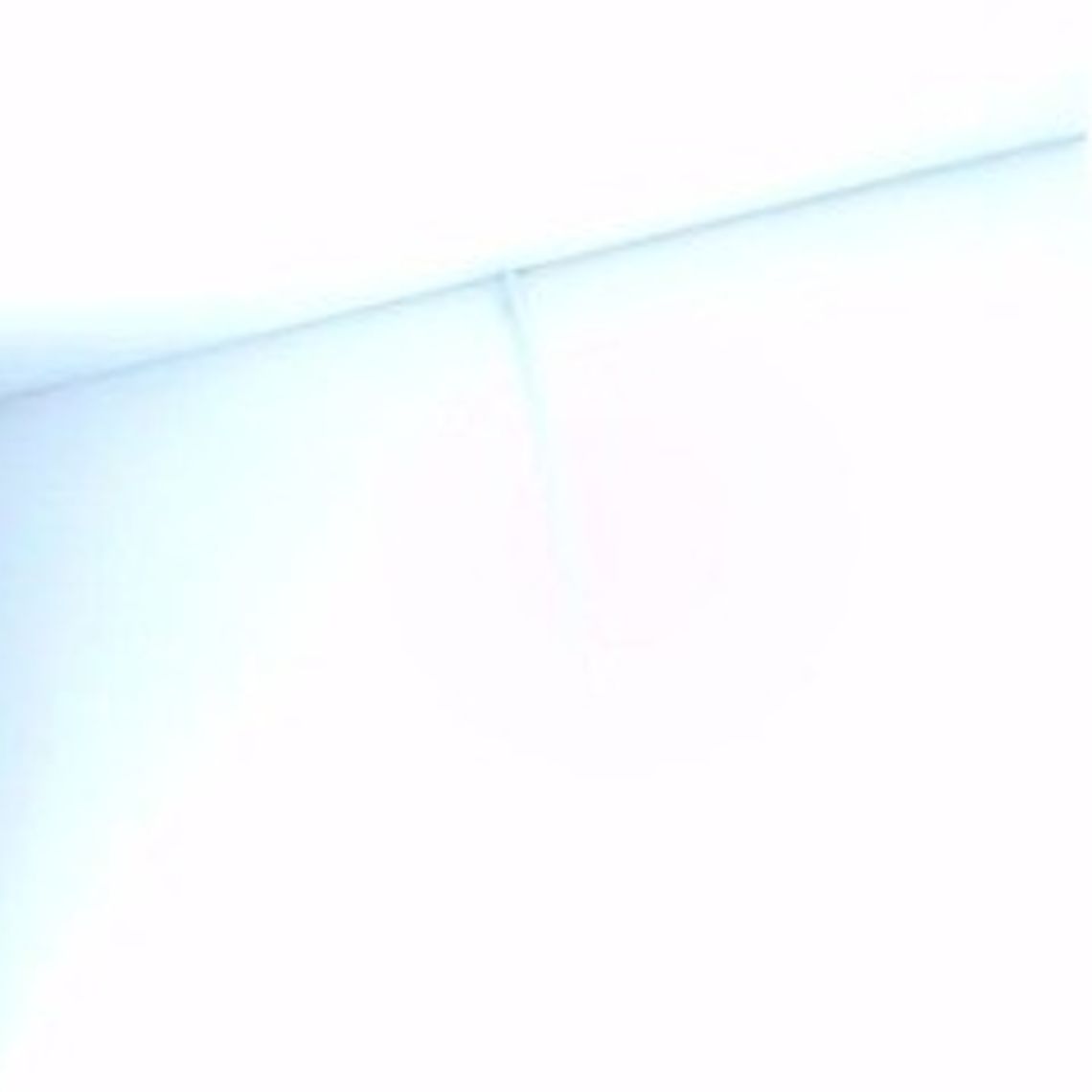 cristel-dachs