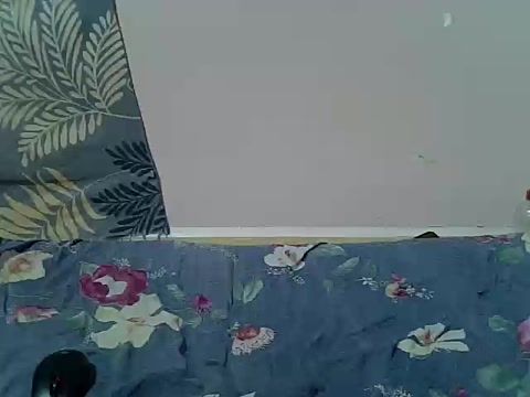 milkkkypussy