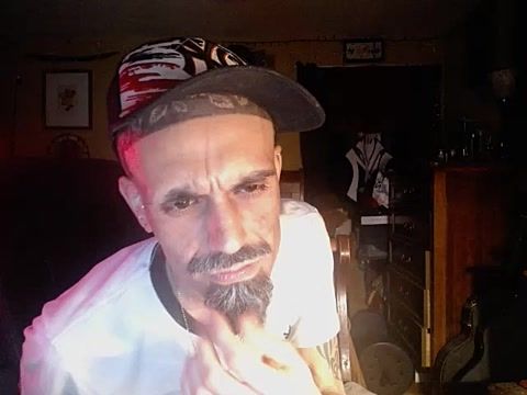 Paisano_Peacock@xh