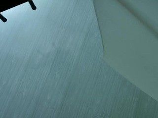 Daniella-Spinnelly