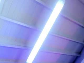 sararouxss