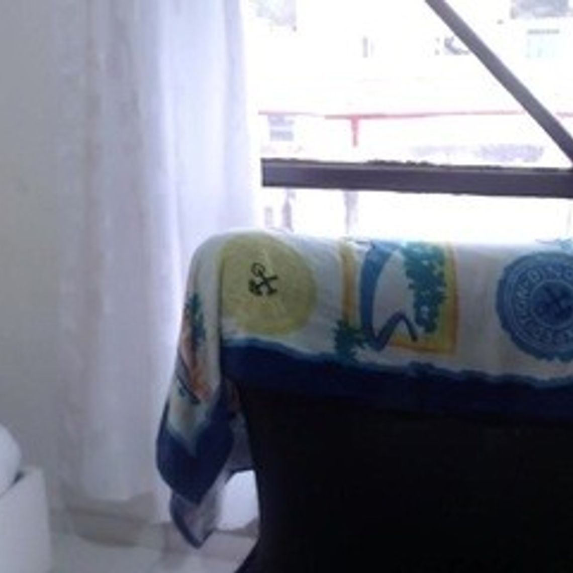 cattalina1