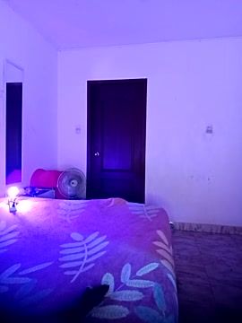 Violetta_Ricci