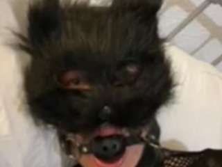 mistressdominatrix