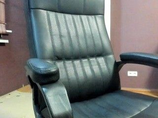 wildlioness