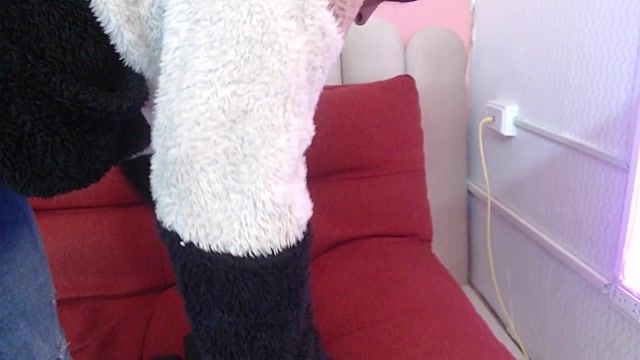 sara_bull