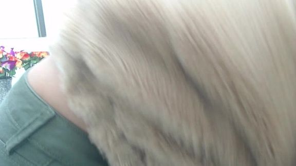 Tokkio_Horny
