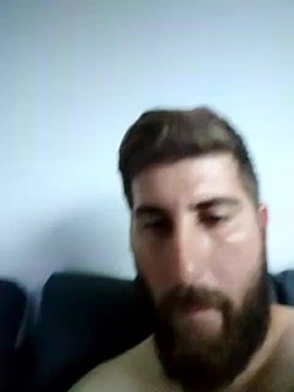 Spanish_bull