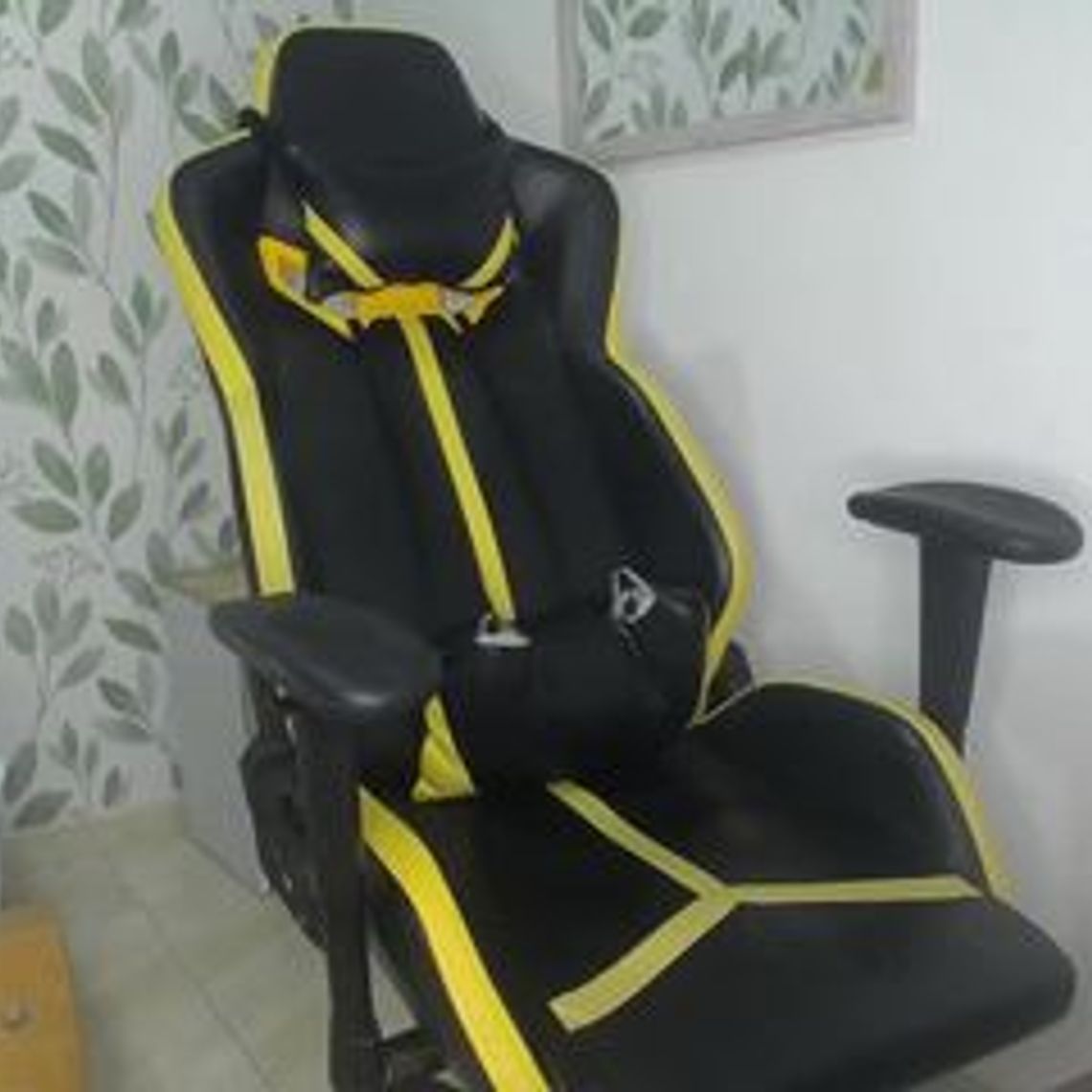 sofia214