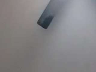 nikkid1203