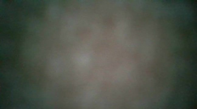 lilyhoney_2003