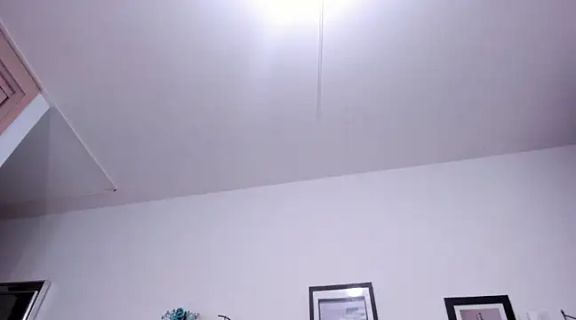 shelsey_jobs