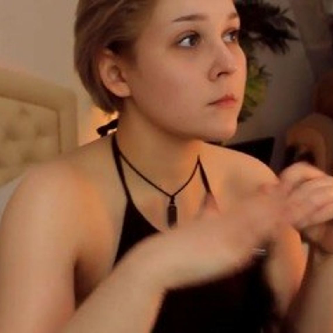 SofiArt