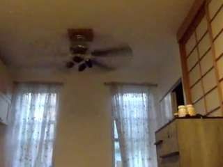 Arcticwombat92