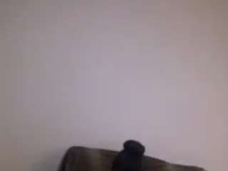 NastyPrettyTony