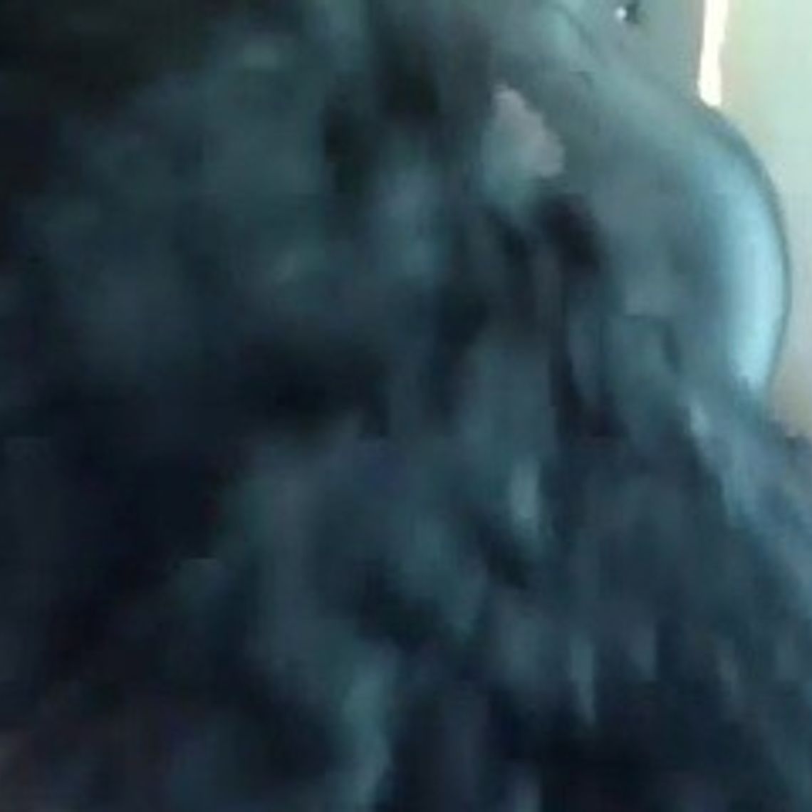 michel-cam