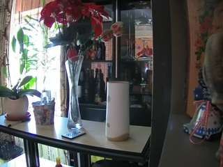 voyeurcam-reallife-livingroom
