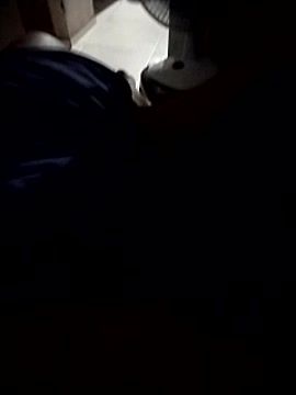 paugostozinho_