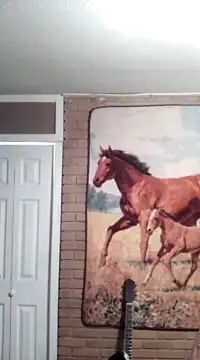 southerncowboyscb